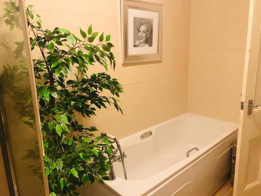 Ilkley Garden Suite Esterno foto